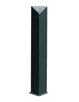 17100.jpg