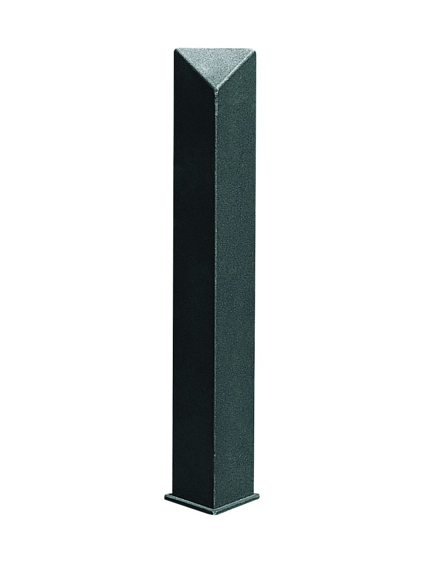 17100.jpg