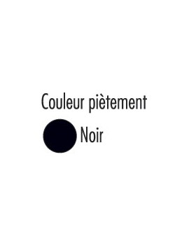 poutre-iso-nuancier-pietement.jpg