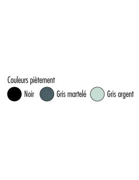 12000-12010-12020-nuancier-pietement.jpg
