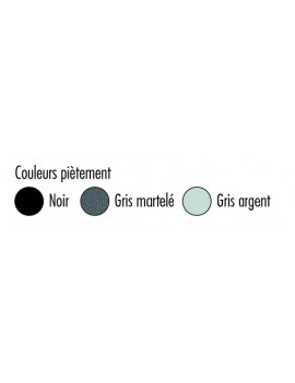 25100-25110-25120-nuancier-pietement.jpg